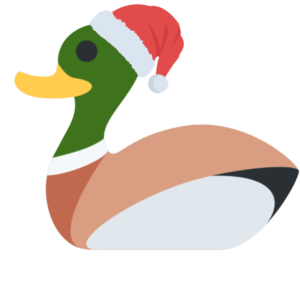 Duck with a Christmas hat