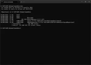 CMD View for the Gamedata Folder